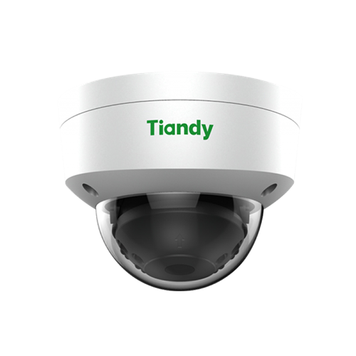 Camera IP Tiandy TC-NC252