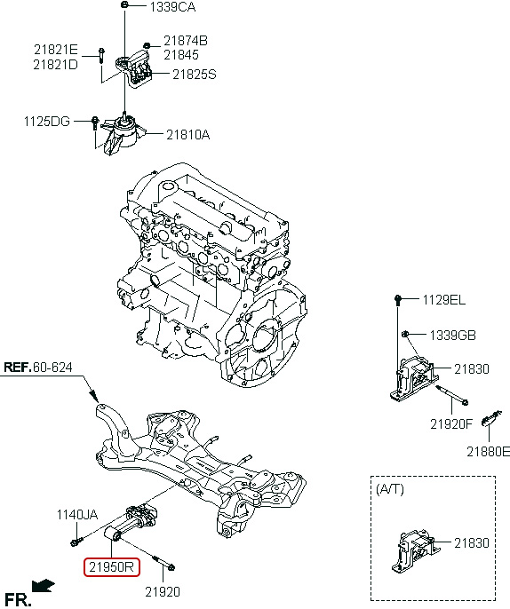 20231026_dB9hZOkv.jpg