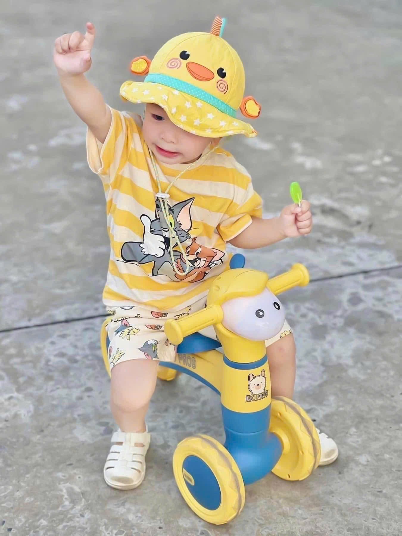 BỘ ĐÙI MÈO TOM KẺ VÀNG 3CT