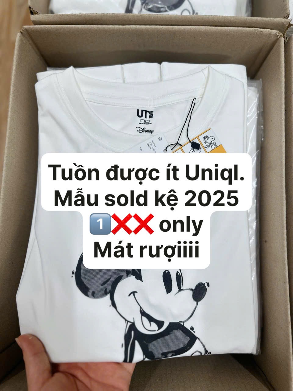 Hàng nhà máy - ÁO PULL CỘC MICKY UNI TRẮNG TUỒN XỊN