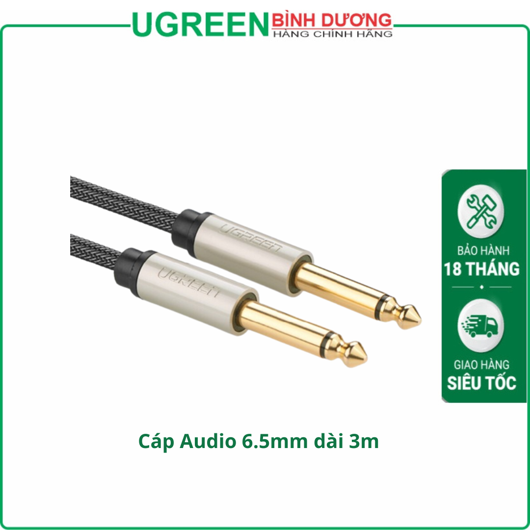 Cáp Audio Ugreen 10639 6.35mm Mono (dài 3M)