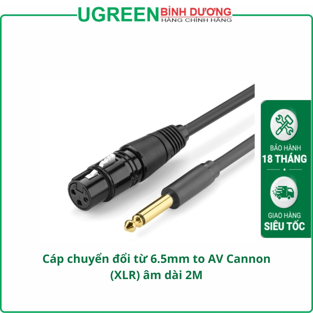 Cáp chuyển đổi từ 6.5mm to AV Cannon (XLR) âm dài 2M chính hãng Ugreen 20719