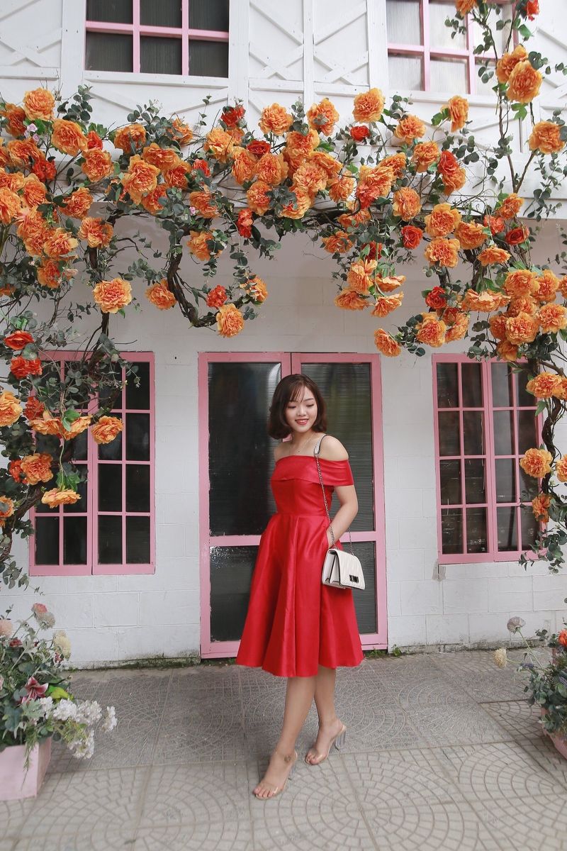 Dress  taffta cổ gấp