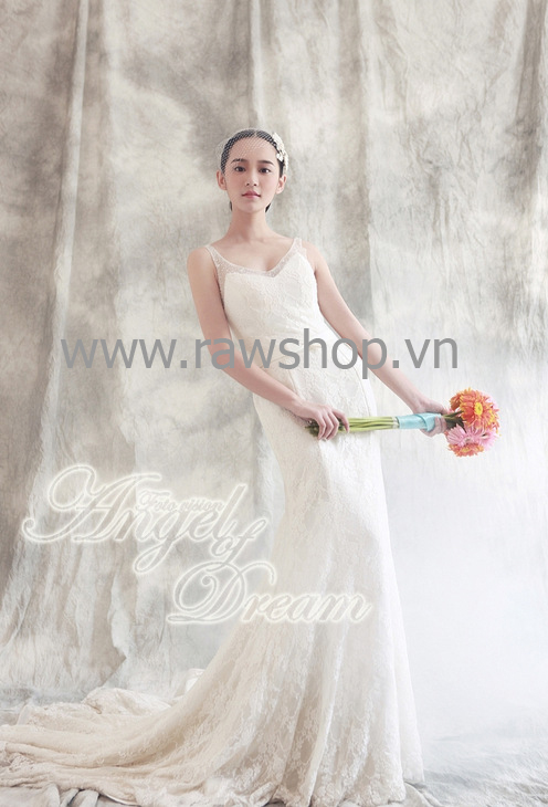 Phông vải Dreamy 3mx6m