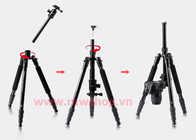 Chân máy ảnh Tripod TRIOPO T258 + Ball head B2