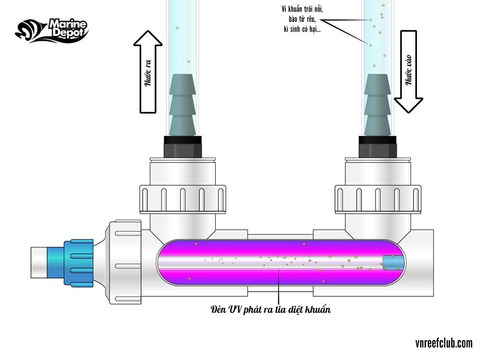 Đèn UV diệt khuẩn cho hồ cá biển