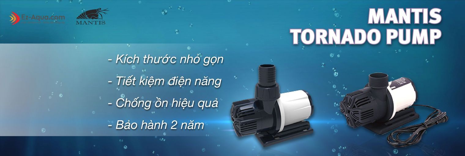 Bơm Mantis