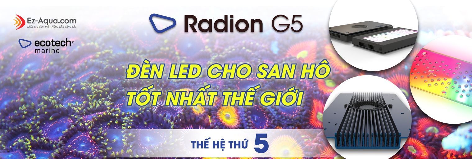 Radion G5