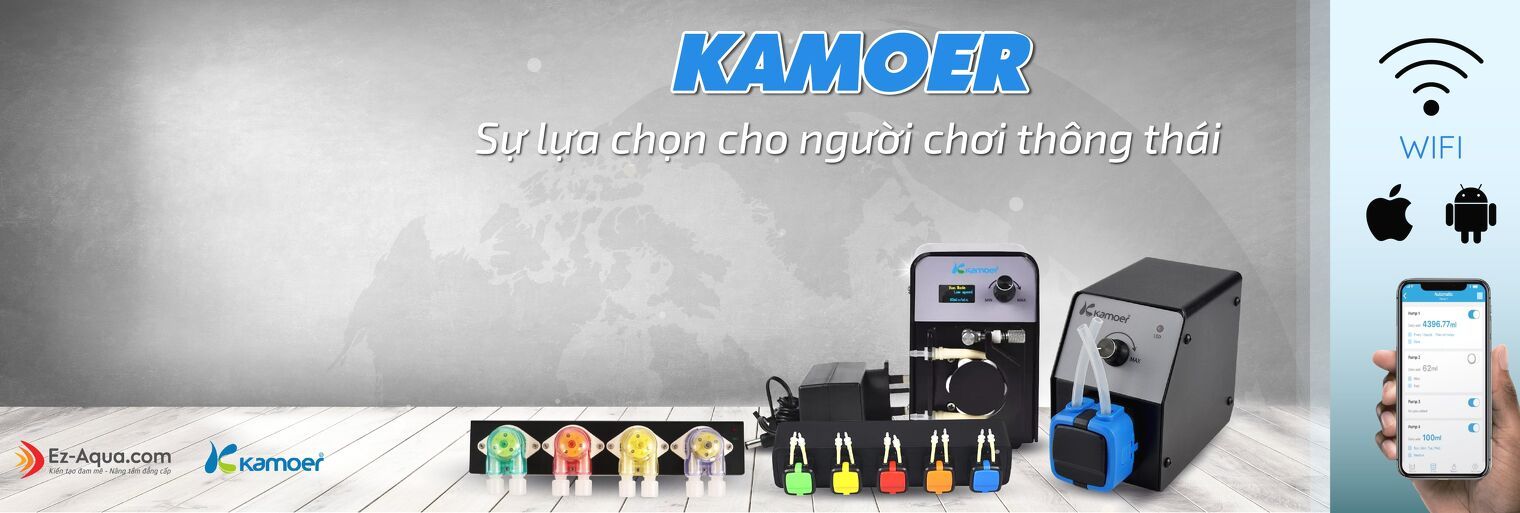 Kamoer