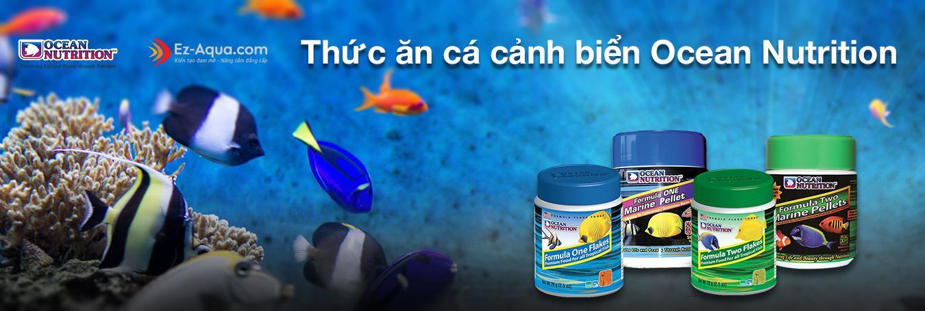 Thức ăn cá