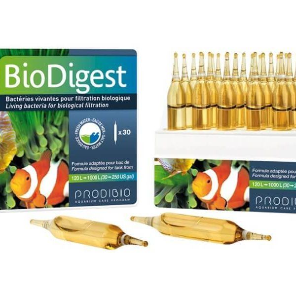 Vi sinh cho hồ cá cảnh biển Biodigest 30 ống/hộp - Prodibio