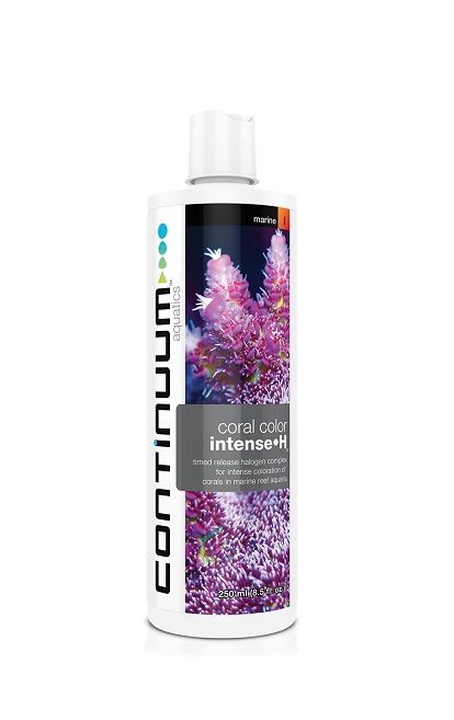 Coral Color Intense H 500 ml – Continuum Aquatics