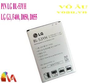 PIN LG 53YH