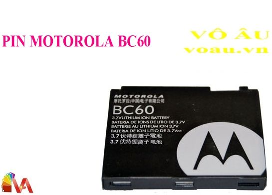 PIN MOTOROLA BC60
