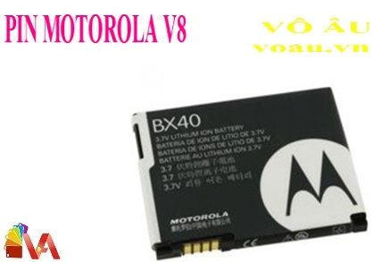 PIN MOTOROLA V8