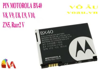 PIN BX40