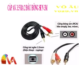 CÁP AV 3.5 RA 2 ĐẦU BÔNG SEN 3M