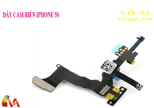 CẢM BIẾN IPHONE 5S