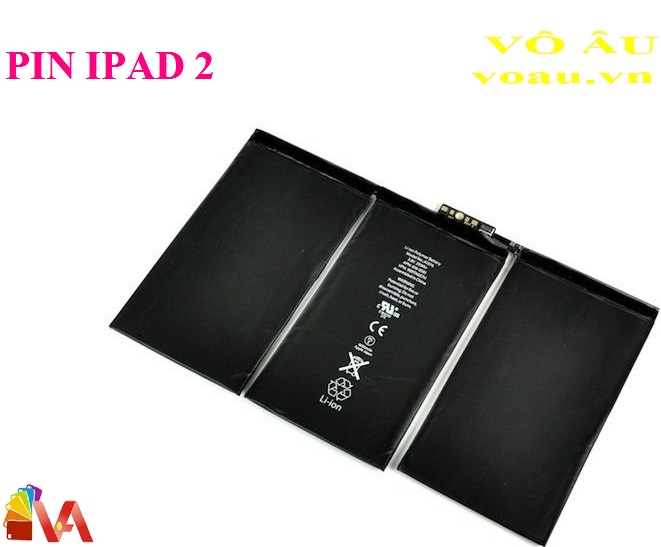 PIN IPAD 2