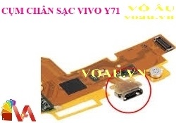 CỤM CHÂN SẠC VIVO Y71