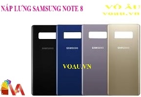 NẮP LƯNG SAMSUNG NOTE 8