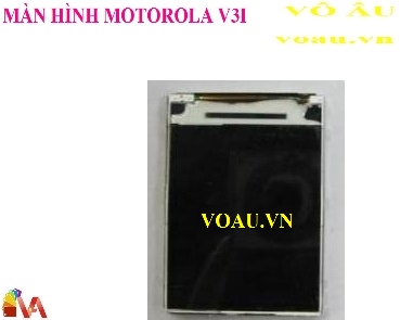 MÀN HÌNH MOTOROLA V3I