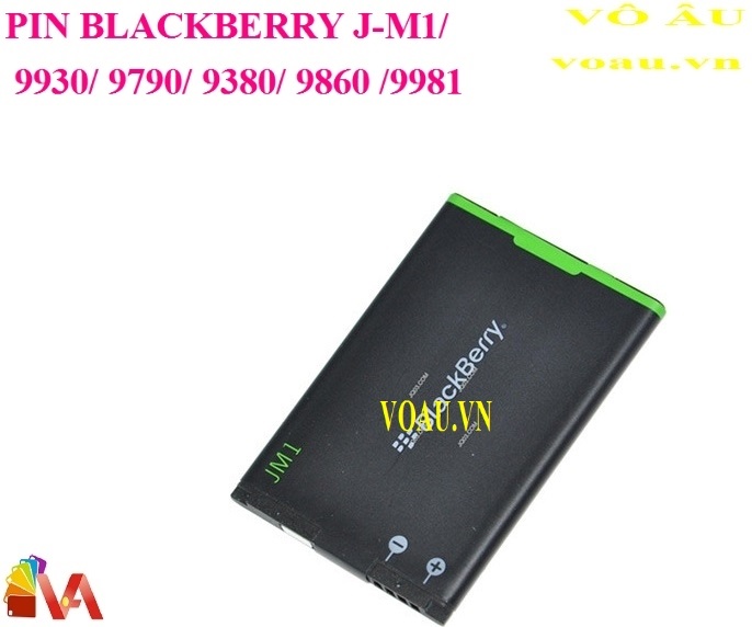 PIN BLACKBERRY 9790 J-M1 ZIN