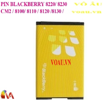 PIN BLACKBERRY 8220 CM2 ZIN