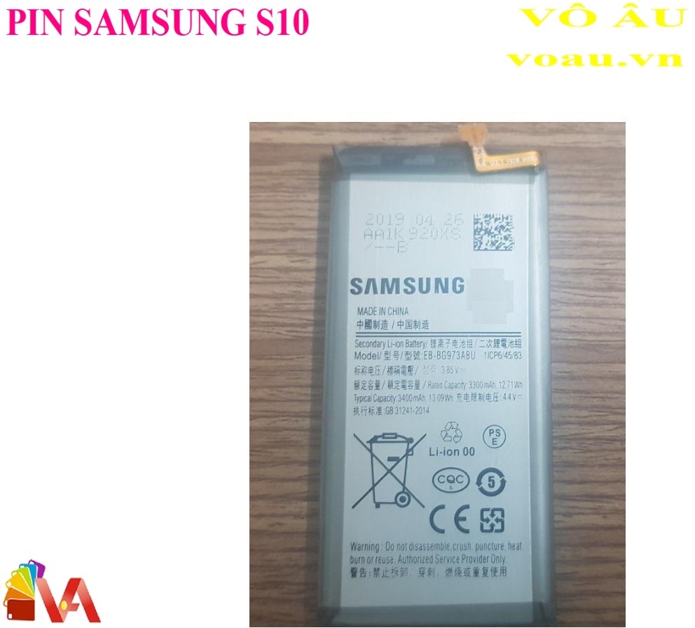 PIN SAMSUNG S10