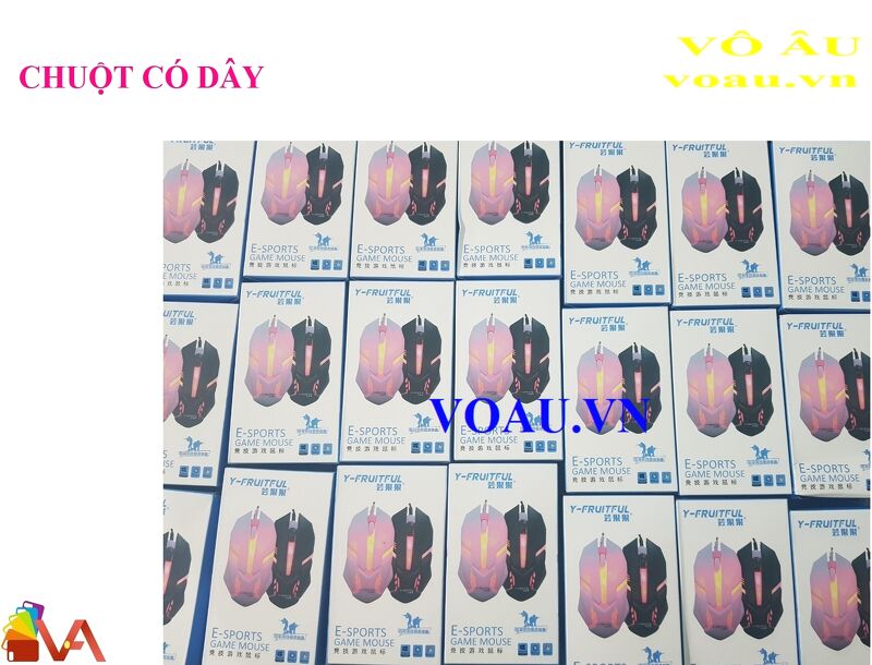 CHUỘT CÓ DÂY