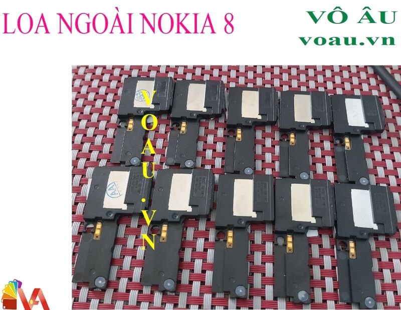 LOA NGOÀI NOKIA 8