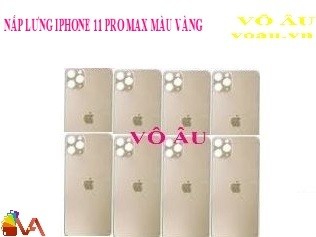 NẮP LƯNG IPHONE 11 PRO MAX MÀU VÀNG
