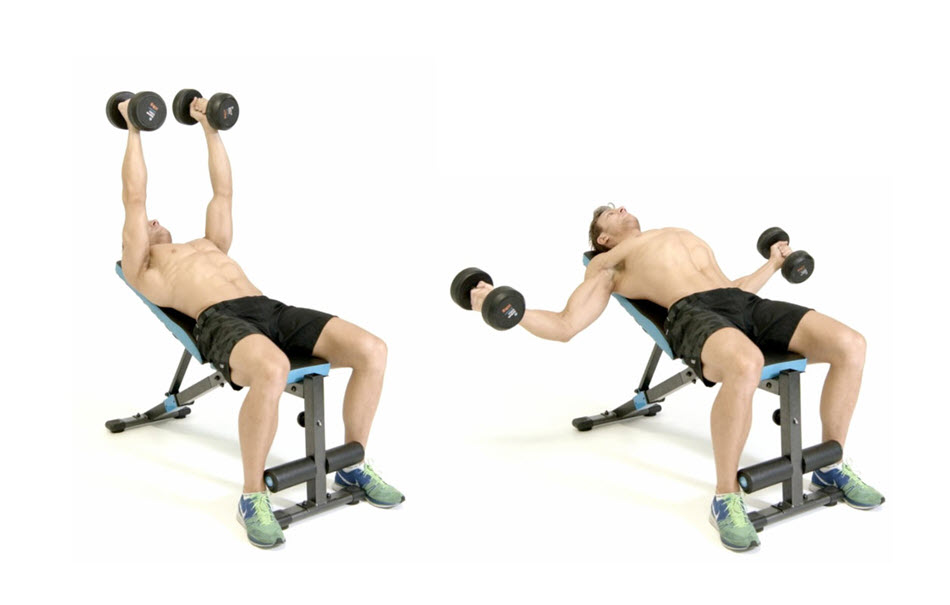 Ép ngực dốc với tạ đơn - Incline chest fly