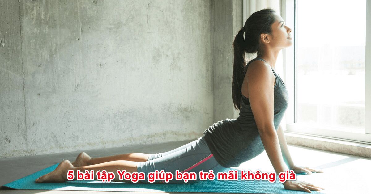 5 bài tập Yoga giúp bạn trẻ mãi không già