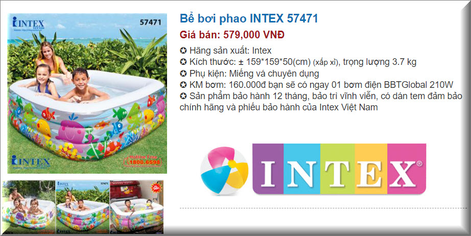 Giá bể bơi phao intex