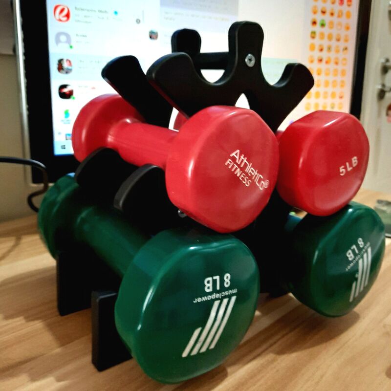 Giá đỡ tạ tay Dumbbell Rack Gymlink JH-6011