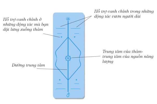 thảm định tuyến