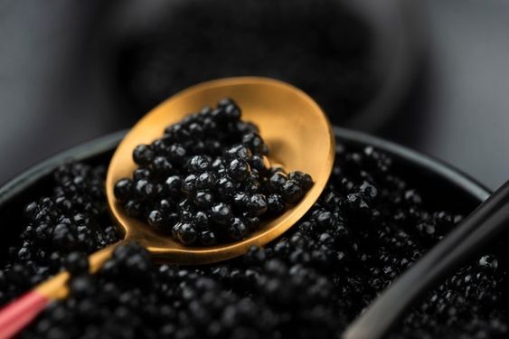 Đẳng cấp dưỡng da từ Trứng cá Tầm đen Caviar của dòng sản phẩm Sambijo