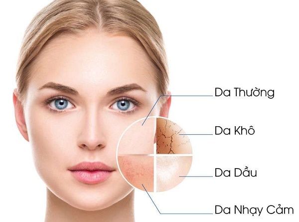 Những điều cần biết về Ampoule 2