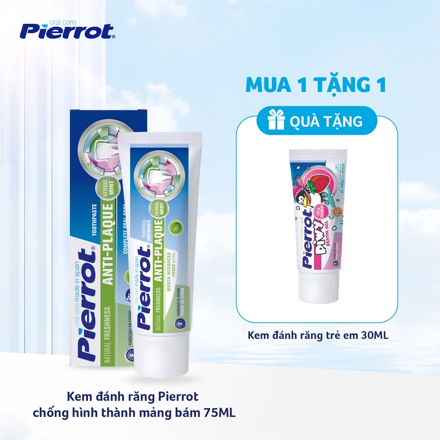 Kem đánh răng Pierrot chống hình thành mảng bám 75ML