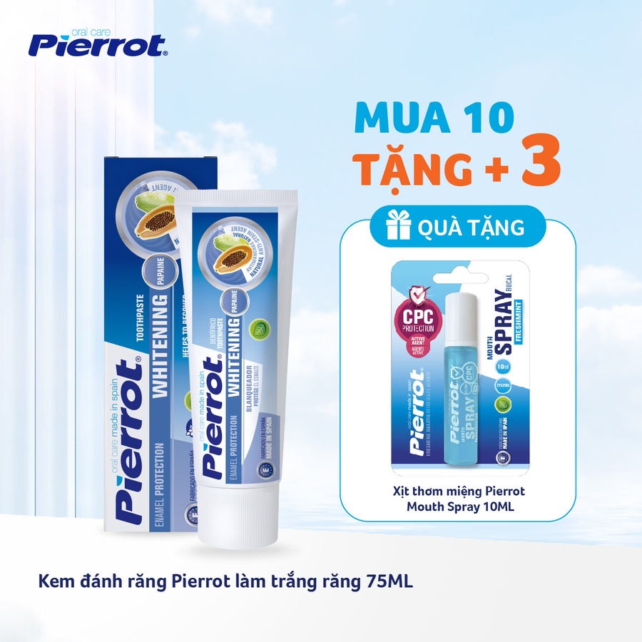 Combo 10 Kem đánh răng Pierrot làm trắng răng 75ML (PIER0841)