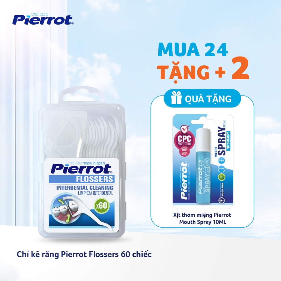 Combo 24 Chỉ kẽ răng Pierrot Flossers 60 chiếc (PIER0080)