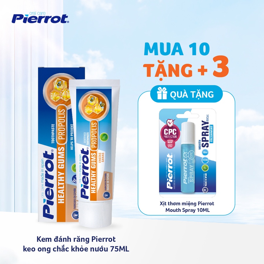 Combo 10 Kem đánh răng Pierrot keo ong chắc khỏe nướu 75ML (PIER0752)