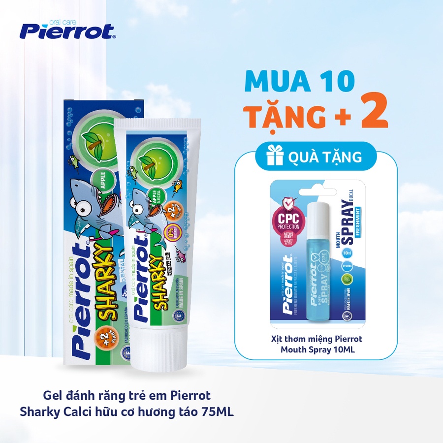 Combo 10 Nước súc miệng Pierrot chăm sóc răng toàn diện 500ML (PIER0691)
