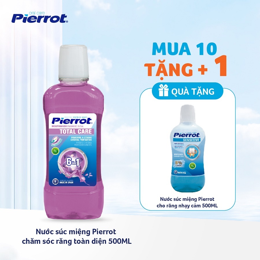 Combo 10 Nước súc miệng Pierrot chăm sóc răng toàn diện 500ML (PIER0691)