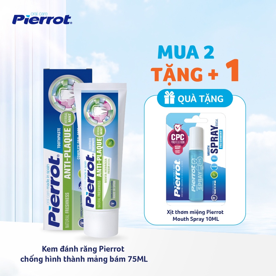 Combo 2 Kem đánh răng Pierrot chống hình thành mảng bám 75ML (PIER0531)