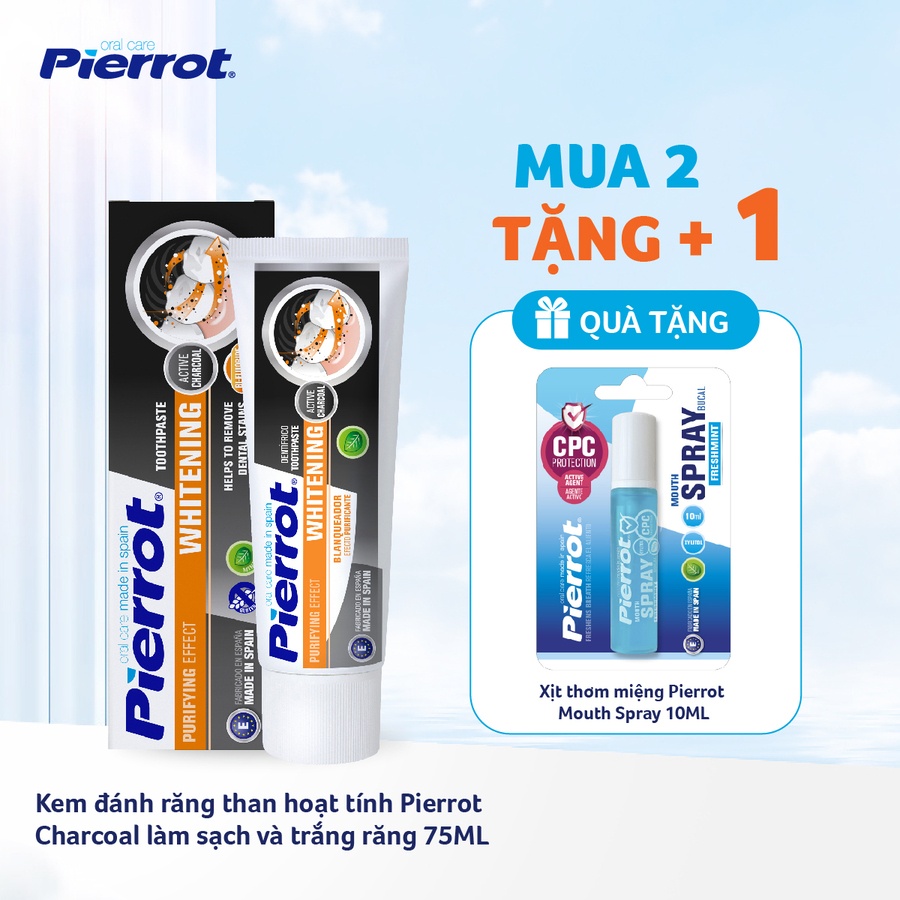 Combo 2 Kem đánh răng than hoạt tính Pierrot Charcoal làm sạch và trắng răng 75ML (PIER0621)