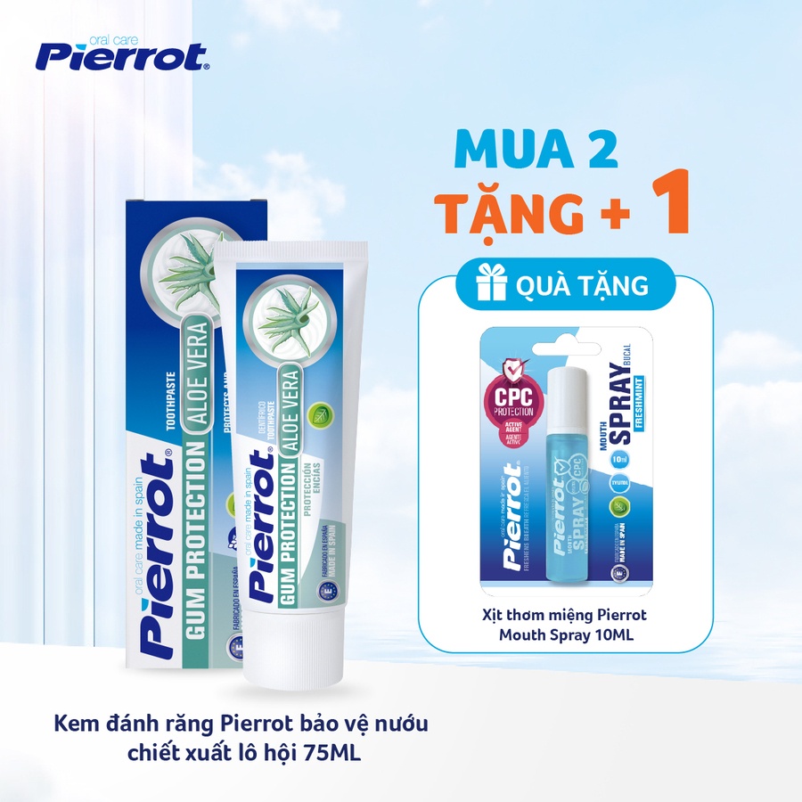 Combo 2 Kem đánh răng Pierrot bảo vệ nướu chiết xuất lô hội 75ML (PIER0742)