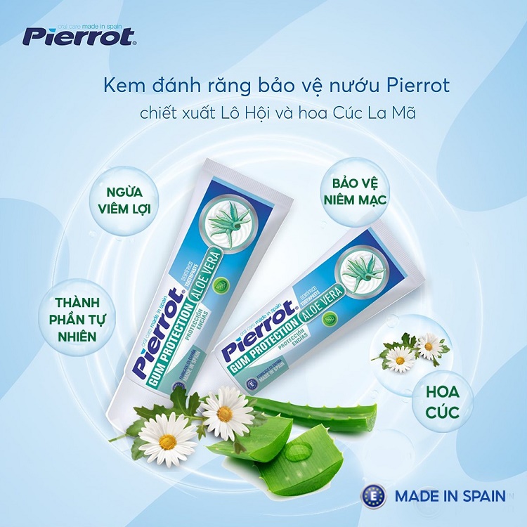 Kem đánh răng Pierrot bảo vệ nướu chiết xuất lô hội 75ML 1