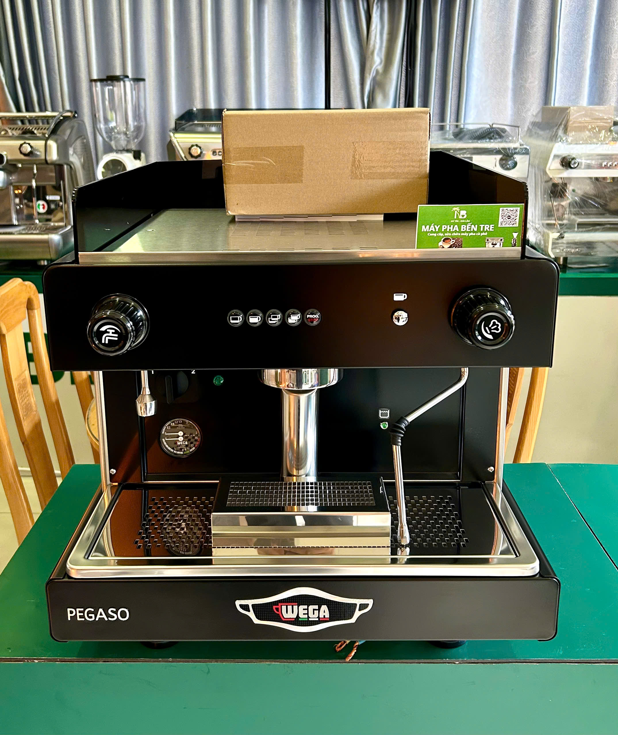 Wega Pegaso 1 group